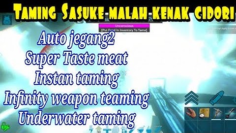 req by Sultan kw (super taste meat + inf. weapon taming)