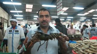 Dubai Deira Fish Souk, Dubai, United Arab Emirates