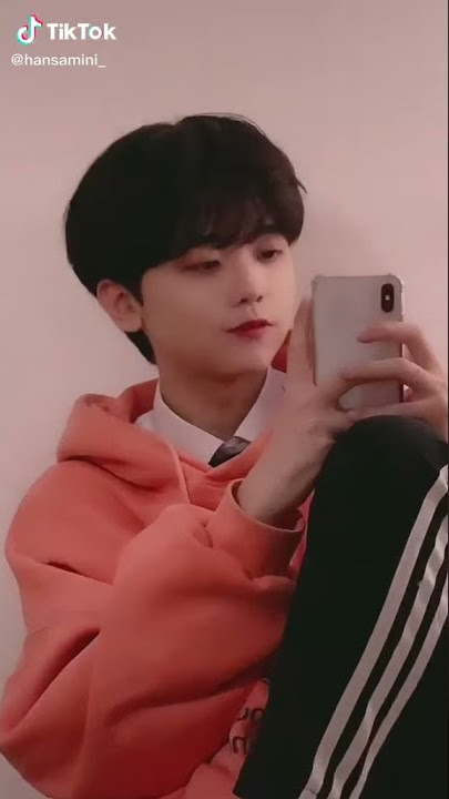 HANSAMINI TIKTOK #3 HAPPY 2M❤