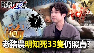 張禹宣轟老豬農胡說「明知死33隻」仍照賣?養豬35年怎會不懂「全台恐2000億都沒了」? -【關鍵時刻】 張炤和 【關鍵熱話題】 @ebcCTime