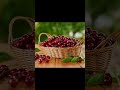 С днём Черешни УРААА 29 06 2024 деньчерешни2024 черешня праздник С днём Черешни УРААА 29 06 2024 деньчерешни2024 черешня праздник