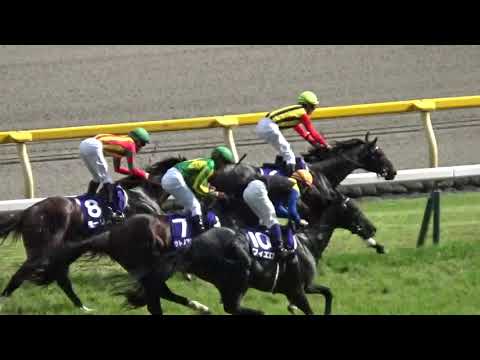 安田記念  1着ロゴタイプ号 (田辺裕信騎手)  (個人撮影)  2016年6月5日(日) 東京競馬場