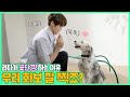 (EN/JP) 🎂연석 생일 맞이 개이트? 🐶❤ with RITA │ 주말연석극 EP.60