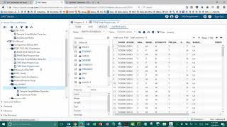 2 b Video 9   Setting Up the SAS Environment