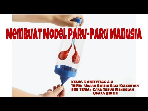 KELAS 5 AKTIVITAS 2.4 Membuat Model Paru-Paru Manusia