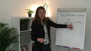 SATARLA TRAINING Risk Appetite, Tolerance and Criteria