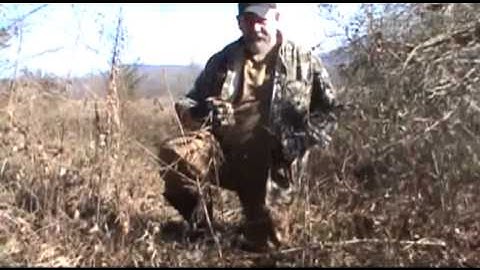 How to snare and catch coyotes fast with steel cable 5/64 1x19