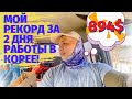 Работа в Корее в жару под солнцем в +30°.. 894$ мой рекорд заработка, чуть не зажарился