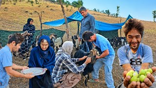 The real life of nomads. The story of the Muslim family in the difficult mountains. Stay with us. screenshot 2