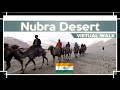 【4K HDR Virtual Walk】Nubra Valley Desert India Ladakh#nubravalley #nubra #ヌブラ