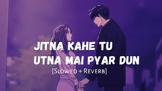 Tujhko Na Dekhun | Slowed And Reverb | Udit Narayan | Jaanwar | Lofi Songs | Lofi Vibes