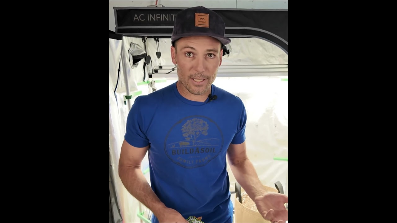 Why We Use Straw Mulch in No-Till