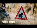 This is africa  camping with elephants in botswana  africa xoverland s6 ep2