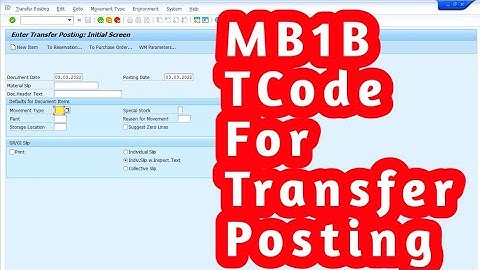 MB1B Issuance Wendor Stock Movement Type 542 #MB1B