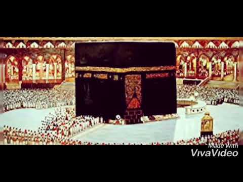 Islamic whatsapp status | viva video