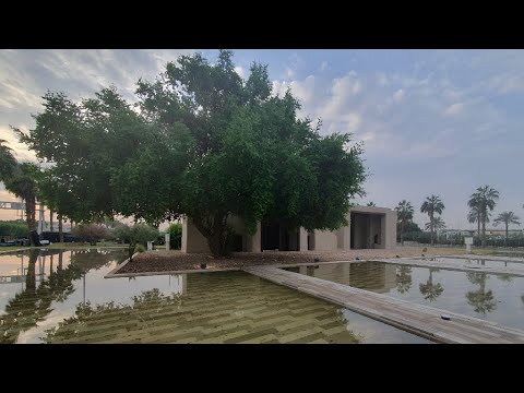 إرداى ثوب الصبر وعلى النوايب جلد