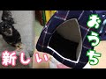 新しいペットハウスをプレゼントしたらチワックスが嬉し泣き。