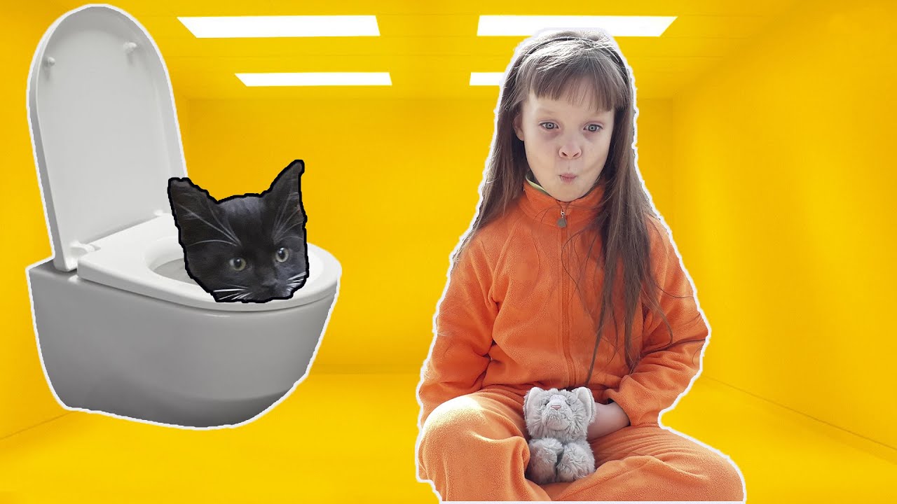 Котенок спрятался в унитазе. - YouTube