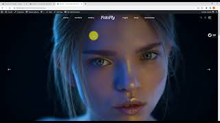 Fotofly - Installation, demo import screenshot 5