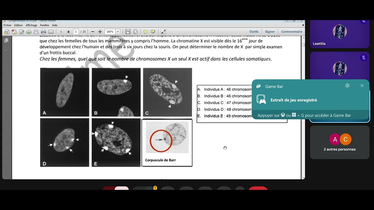 GÉNÉTIQUE : Cytogénétique. -partie 1-