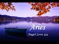 Aries ♈️✨A relationship will be fulfilled! Anything goes Nov. 24th - 30th Tarot Reading