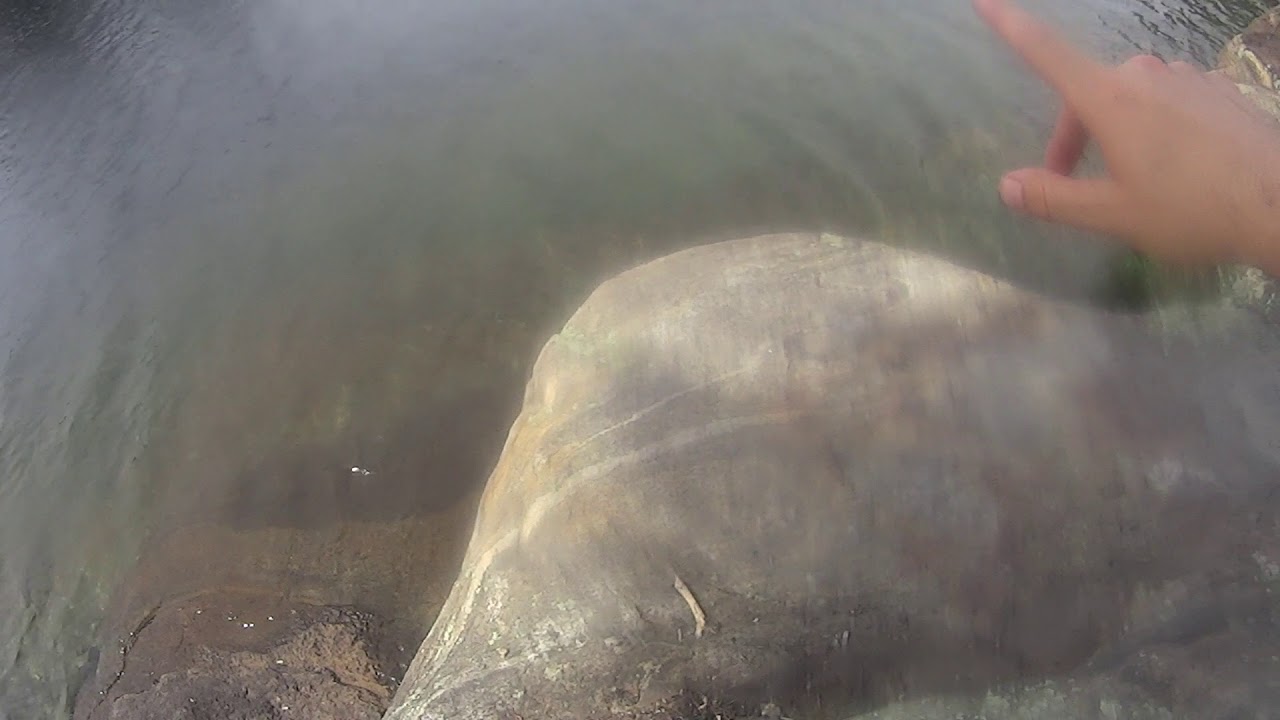 Massasauga Provincial Park