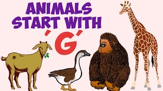 Animals Starting With G Animal Names For Kids Animal Names Educational Videos For Kids