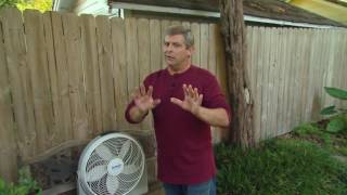 Keep Mosquitos Away the Natural Way