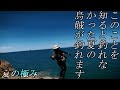 エギング【シビアな夏イカを攻略します。釣れなかった一杯が釣れるようになる】【夏イカの極み】２０２１　７月　アオリイカ