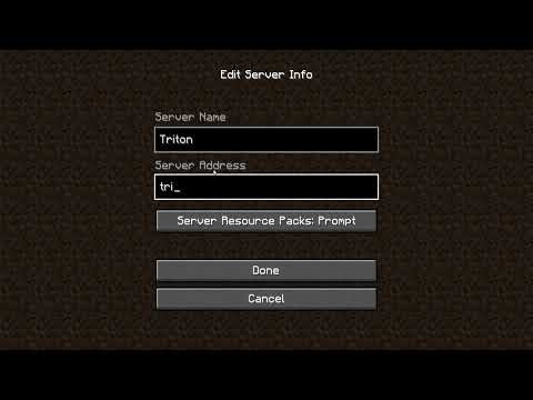 java minecraft server address