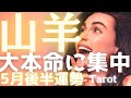 【山羊座♑️5月後半】宇宙から指名入りました!迷ってる暇、1ミリもなし✨本命だけを愛し抜け!運命の「一点突破」大作戦👍タロット占い