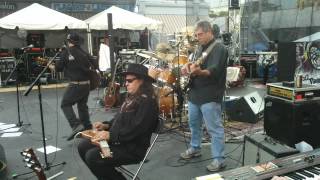 Cash Cows 20120819 10 1