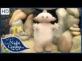 In the Night Garden - Playing Hiding with - Makka Pakka | Full Episode 23 | Videos For Kids