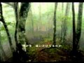 初音ミクオリジナル「密林幻想」.flv