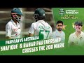 The Shafique-Babar partnership crosses the 200 Mark! | Pakistan vs Australia | PCB | MM2T