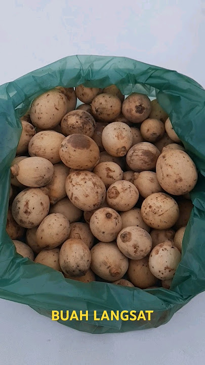 BUAH LANGSAT