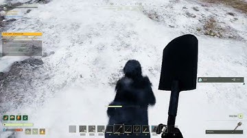 Icarus, The Manager is a Polar Bear