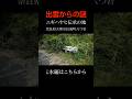 Yatsuiwa The Land Of Nigihayahi Legend Shrine History Tourism Nigihayahi Hiking Tenri Nara Yatsuiwa The Land Of Nigihayahi Legend Shrine History Tourism Nigihayahi Hiking Tenri Nara