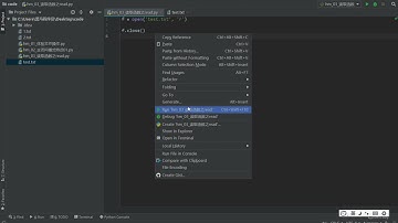 Python基础04 读取函数之read