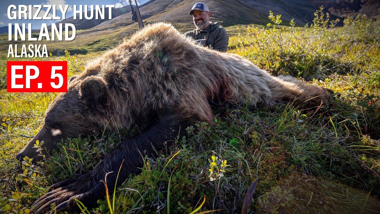 MOUNTAIN GRIZZLY HUNT 4K ALASKA EP. 5 YouTube