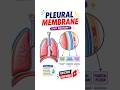 Pleural Membrane Explained: Visceral vs Parietal Pleura Made Easy #Anatomy #NEET #Biology