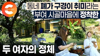 이 마을에 들어와서 개명까지 했다. 90년된 집을 고쳐 촌집 살이 시작한 바카씨와 그녀 따라 들어온 모카씨의 시골 취미 생활ㅣ촌집 고치는 방법ㅣ#한국기행