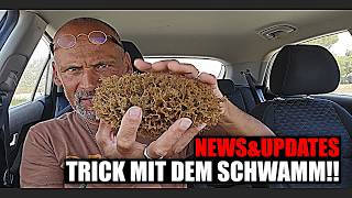 UPDATES & NEWS: Wenn das System zusammenbricht!!!???