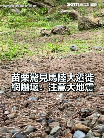 苗栗驚見馬陸大遷徙　網嚇壞：注意大地震｜三立新聞網 SETN.com