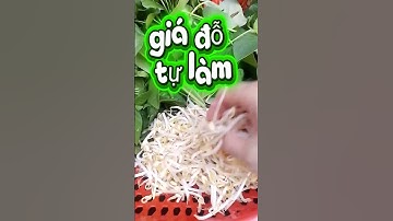 5 Loại Rau Sống Ăn Cùng Nhau Tốt Cho Sức khỏe