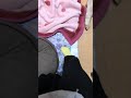 【フェレット】毛布で大興奮
