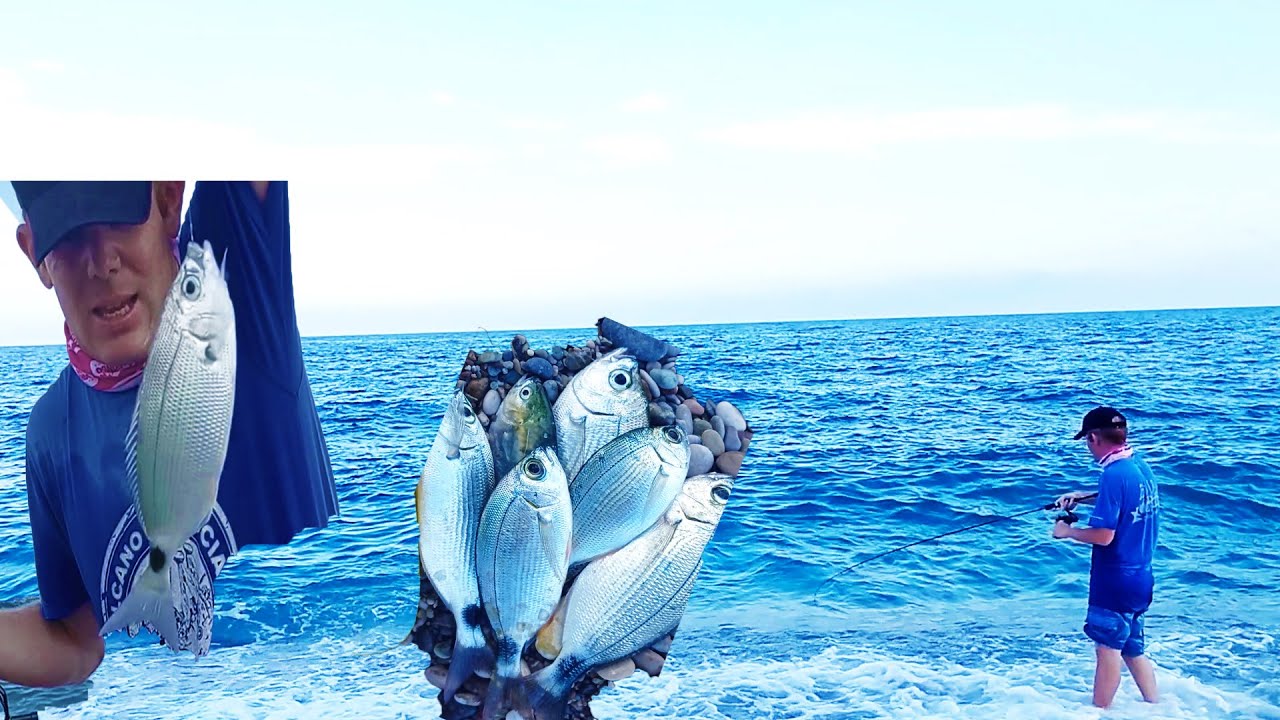 Dalgada heybemiz balıkla doldu. balık avı - melanur avı - yalandırma avı