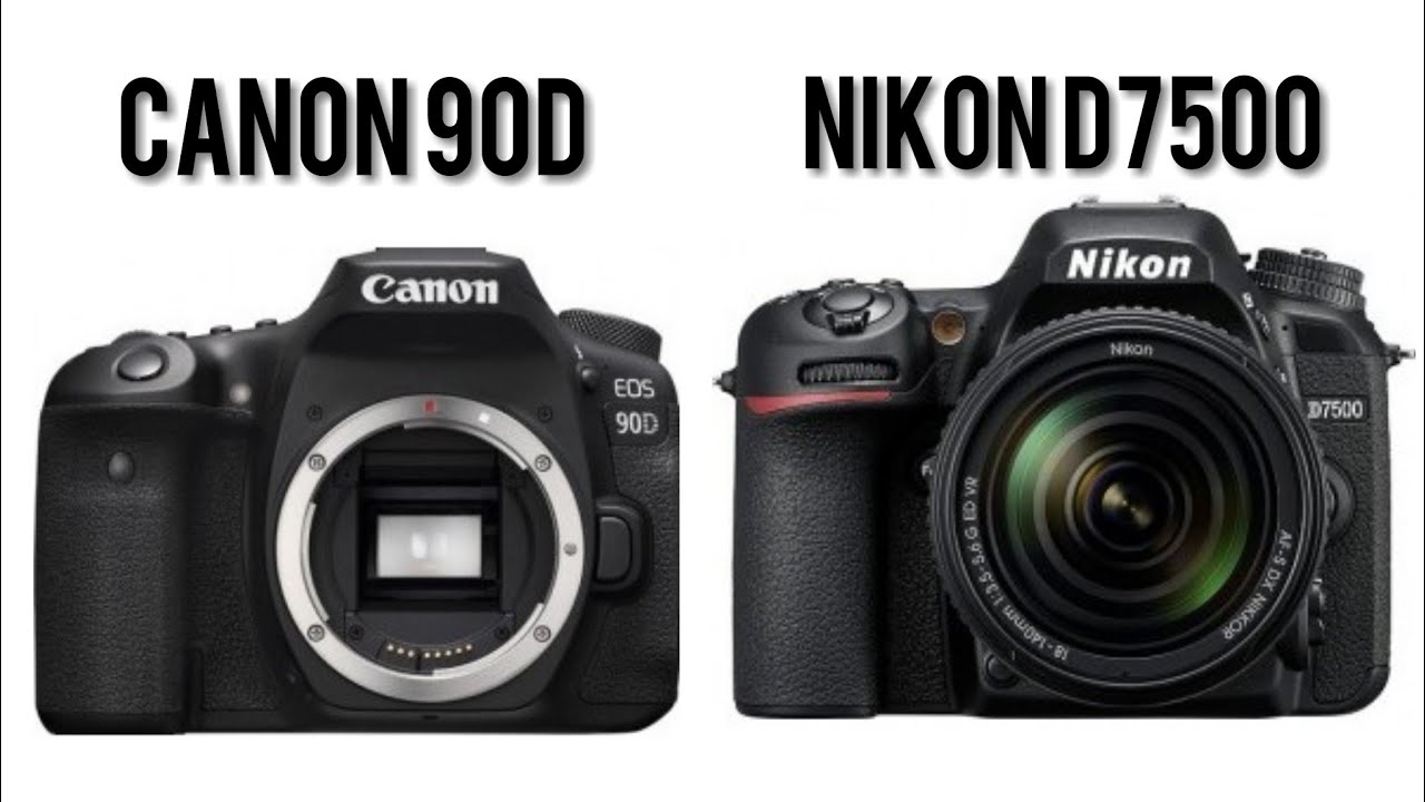 Is Canon 90D Better Than Nikon D7500 YouTube