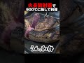 【バカ企画】火炎放射器で900℃に熱したフライパンで巨大肉を焼きたい!