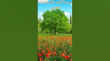 سورة النصر الشيخ أحمد العجمي